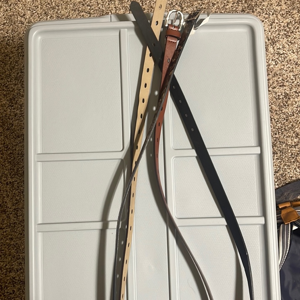 Two plus women’s belts from Target